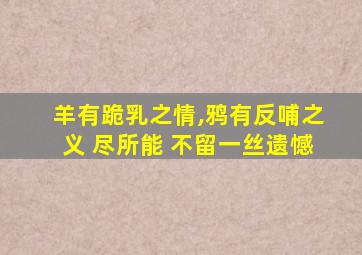 羊有跪乳之情,鸦有反哺之义 尽所能 不留一丝遗憾